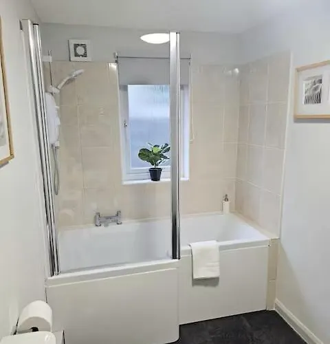 Last Yan - Stylish *